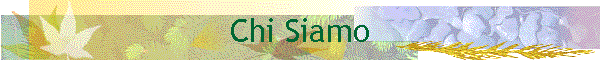 Chi Siamo