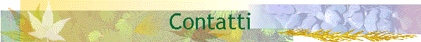 Contatti