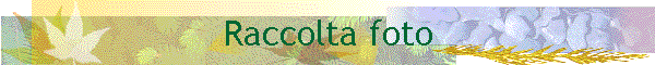Raccolta foto