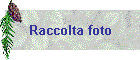Raccolta foto