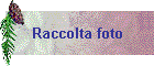 Raccolta foto