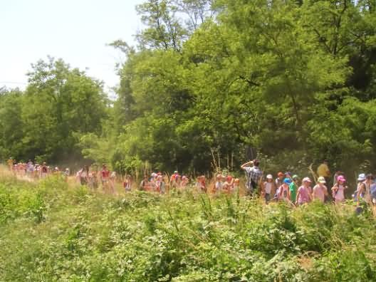 in cammino nel Parco delle Groane