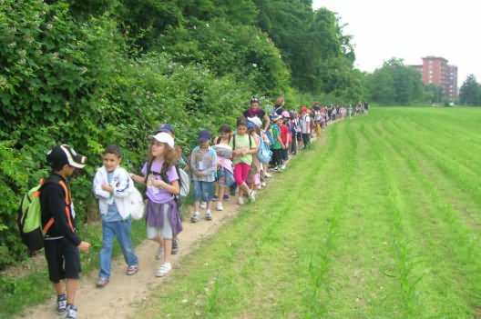 a passeggio per il parco delle Groane