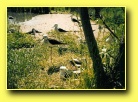 [Click to enlarge]