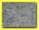 [Click to enlarge]