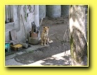 [Click to enlarge]