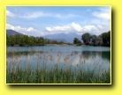 [Click to enlarge]